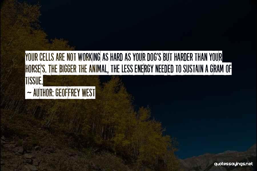 Working Dog Quotes By Geoffrey West