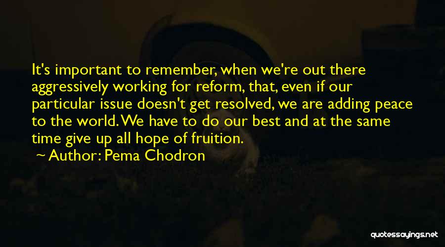 Working For Justice Quotes By Pema Chodron