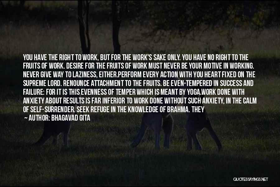 Working For Success Quotes By Bhagavad Gita