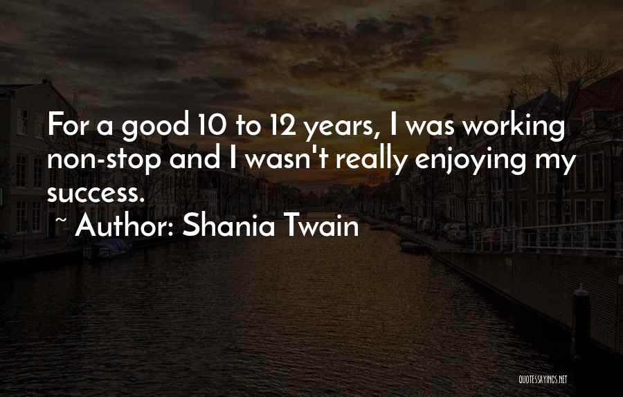 Working For Success Quotes By Shania Twain