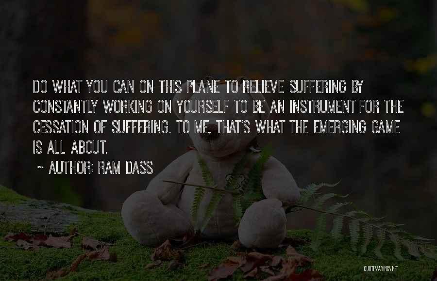 Working For Yourself Quotes By Ram Dass