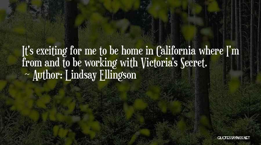 Working From Home Quotes By Lindsay Ellingson