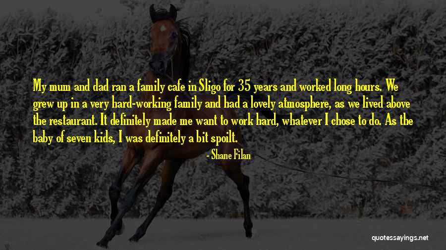 Working Hard For The Family Quotes By Shane Filan