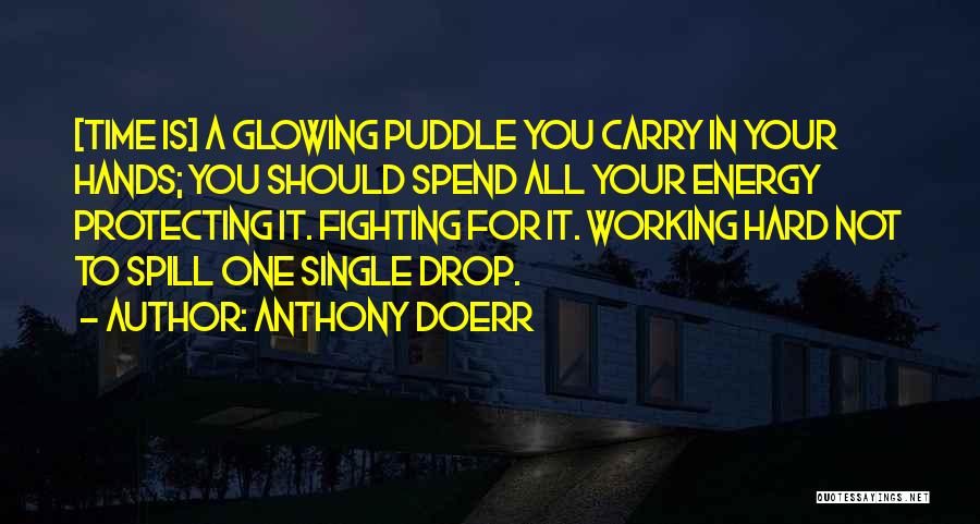 Working Hard In Life Quotes By Anthony Doerr