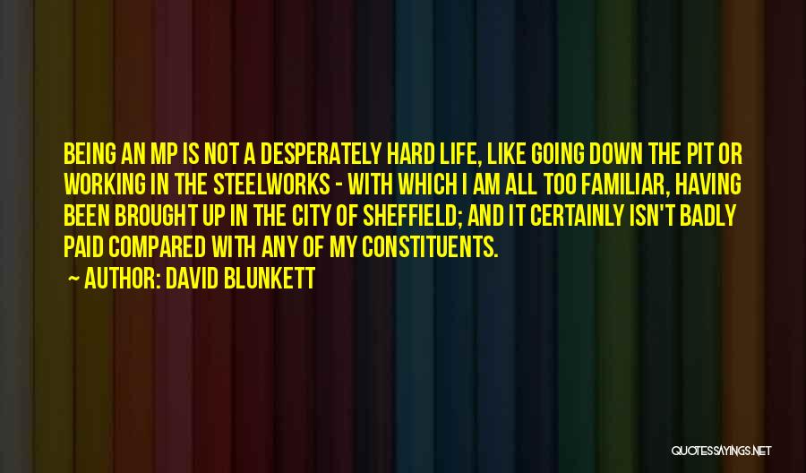 Working Hard In Life Quotes By David Blunkett