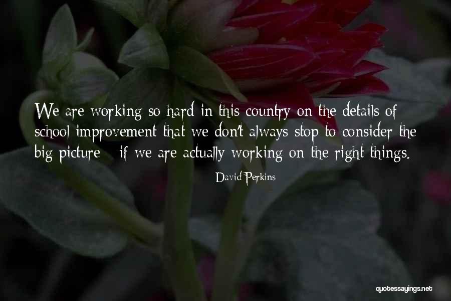 Working Hard In School Quotes By David Perkins