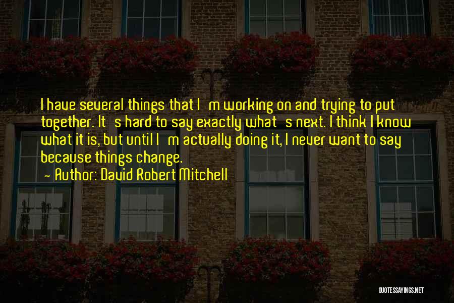Working Hard Quotes By David Robert Mitchell