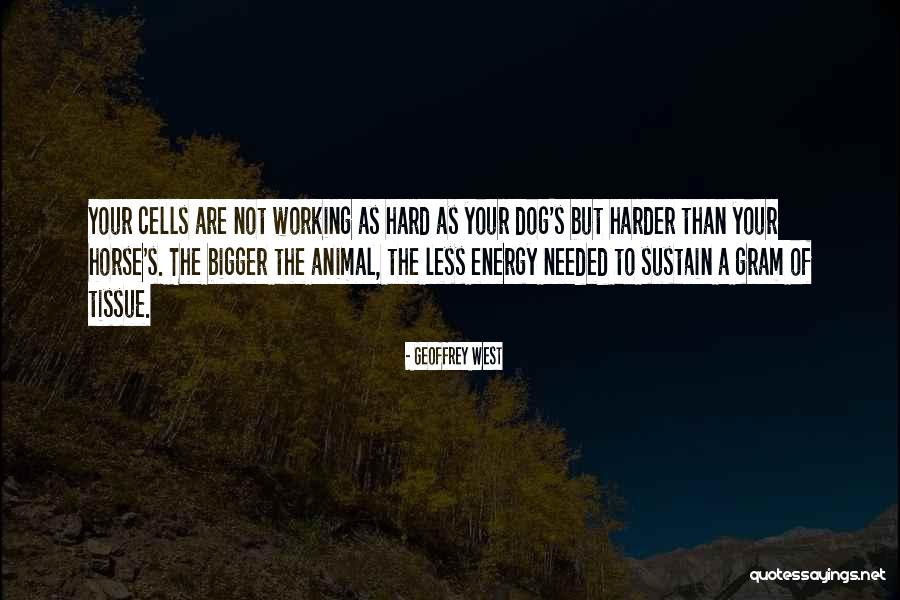 Working Harder Than Others Quotes By Geoffrey West