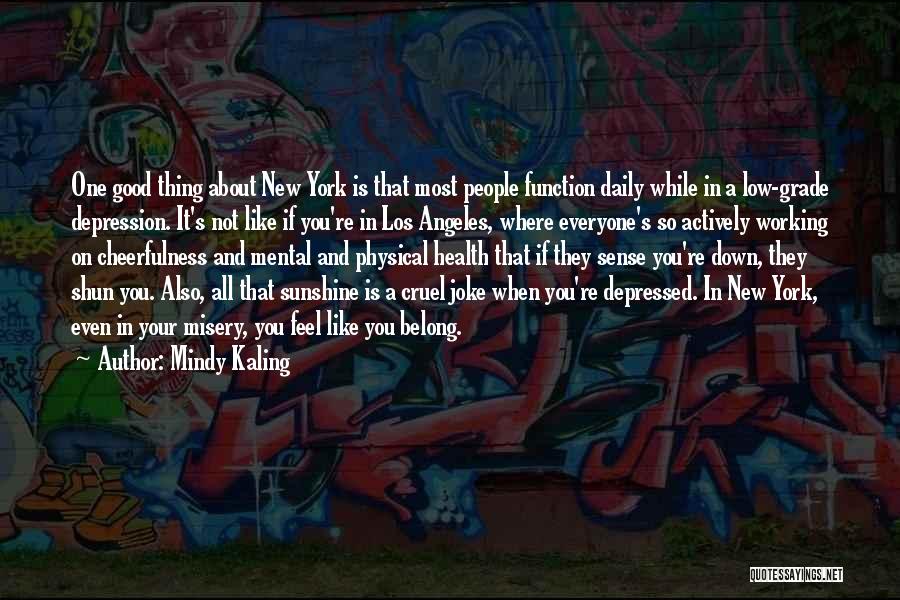 Working In Mental Health Quotes By Mindy Kaling