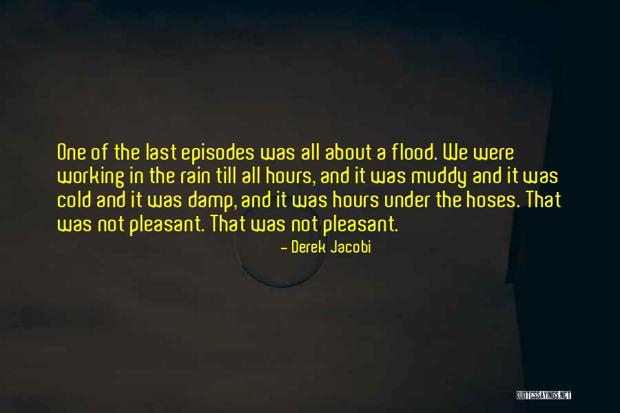 Working In The Rain Quotes By Derek Jacobi