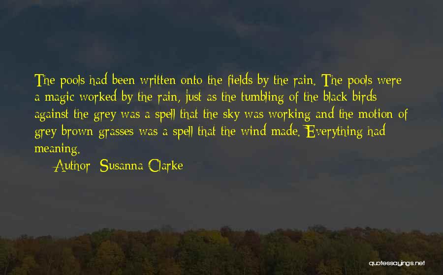 Working In The Rain Quotes By Susanna Clarke