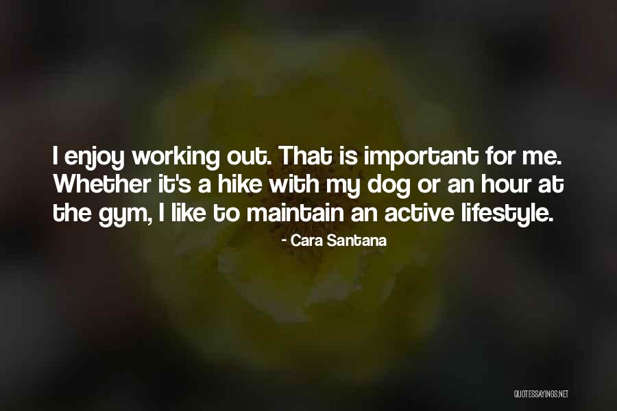 Working Like A Dog Quotes By Cara Santana