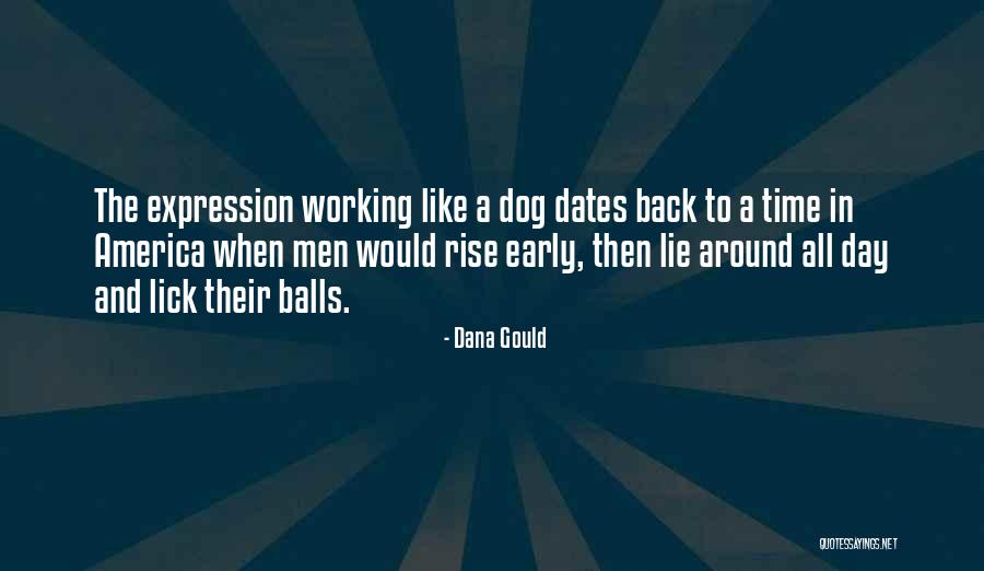 Working Like A Dog Quotes By Dana Gould