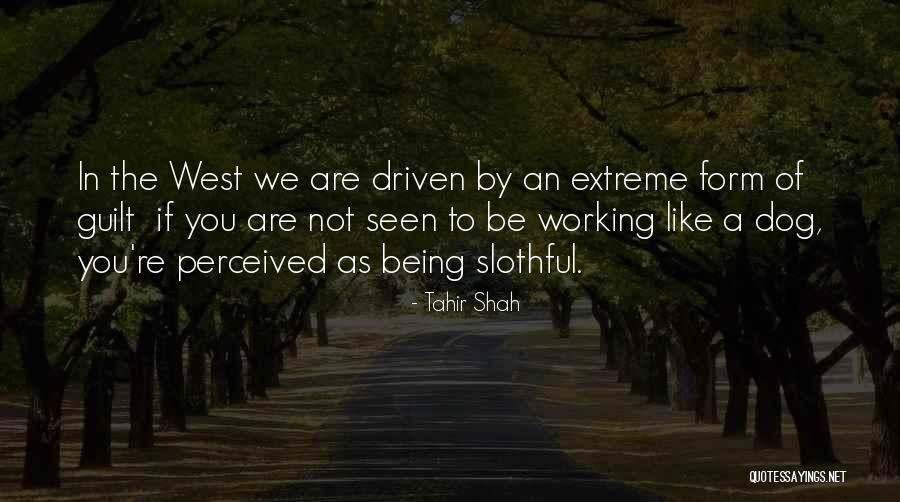 Working Like A Dog Quotes By Tahir Shah Working Like A Dog Quotes By Tahir Shah