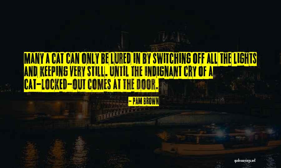 Working On Saturday Quotes By Pam Brown Working On Saturday Quotes By Pam Brown