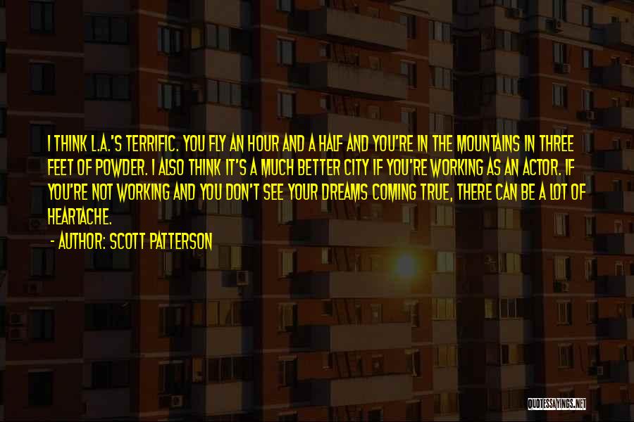 Working On Your Dreams Quotes By Scott Patterson