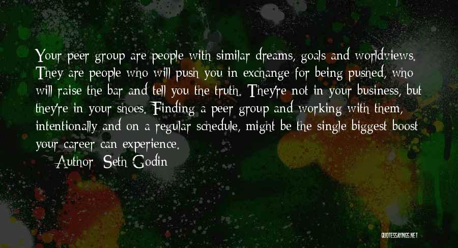 Working On Your Dreams Quotes By Seth Godin