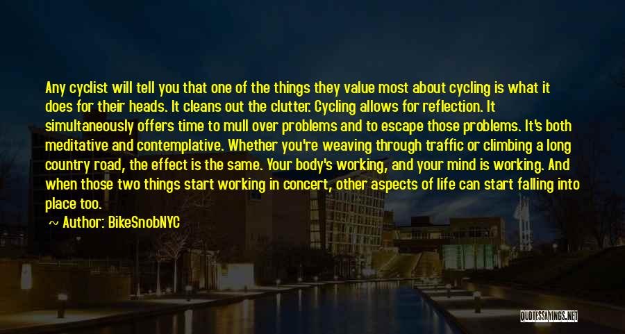 Working Out Problems Quotes By BikeSnobNYC