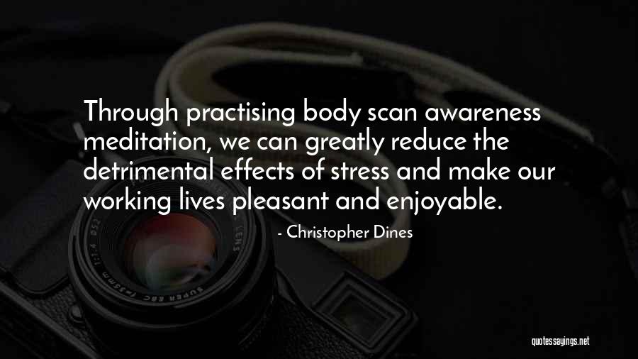 Working Through Stress Quotes By Christopher Dines