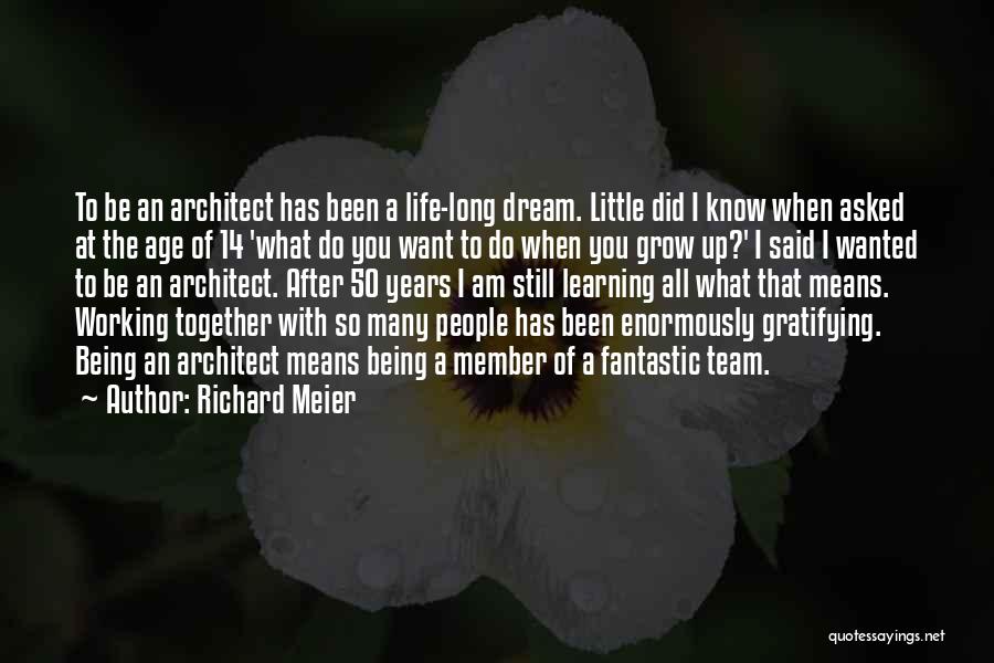 Working Together As A Team Quotes By Richard Meier
