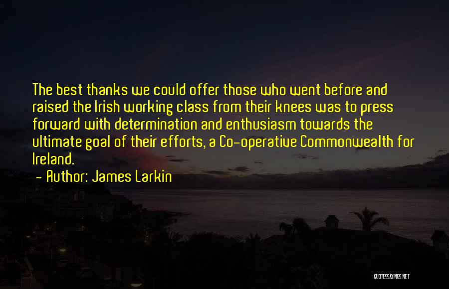 Working Towards A Goal Quotes By James Larkin