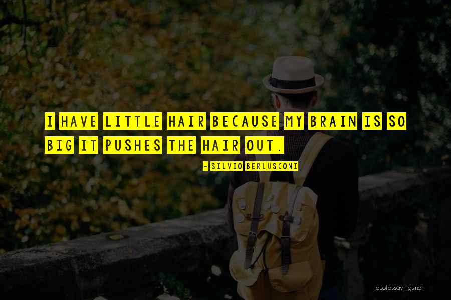 Working Towards My Goal Quotes By Silvio Berlusconi Working Towards My Goal Quotes By Silvio Berlusconi