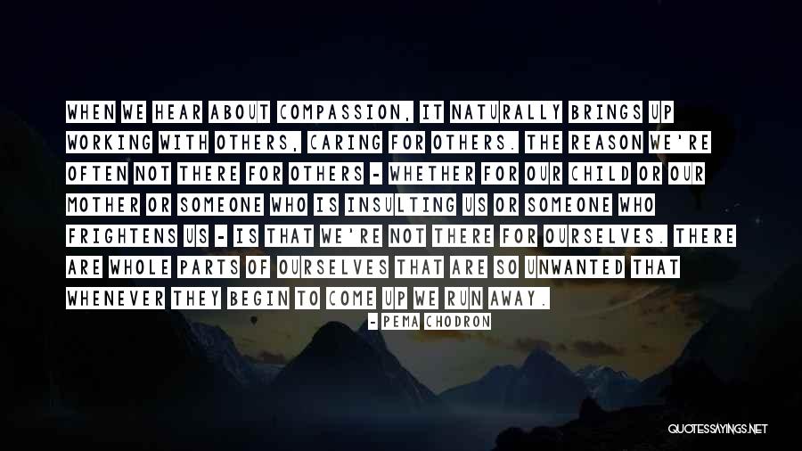 Working With Others Quotes By Pema Chodron Working With Others Quotes By Pema Chodron
