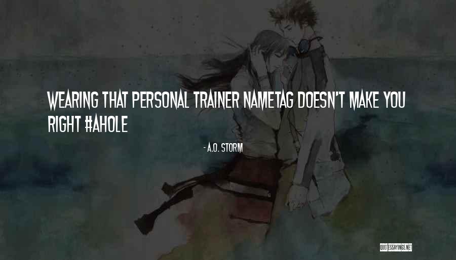 Workout Trainer Quotes By A.O. Storm Workout Trainer Quotes By A.O. Storm