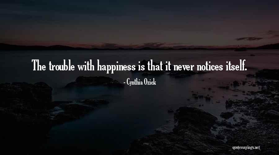 Workstyle Assessments Quotes By Cynthia Ozick Workstyle Assessments Quotes By Cynthia Ozick