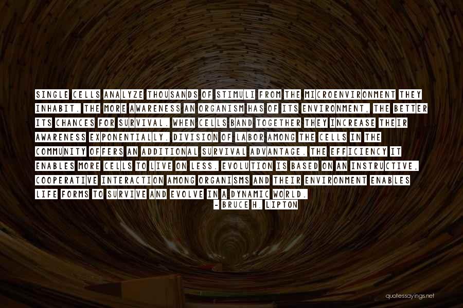 World Awareness Quotes By Bruce H. Lipton