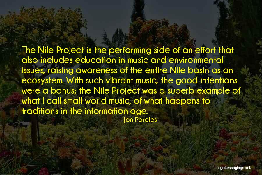 World Awareness Quotes By Jon Pareles