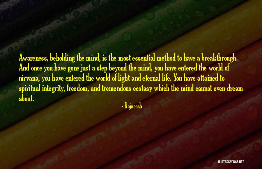 World Awareness Quotes By Rajneesh