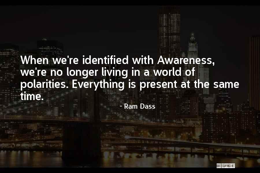 World Awareness Quotes By Ram Dass