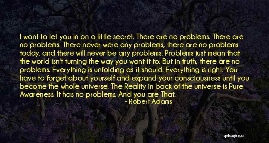 World Awareness Quotes By Robert Adams