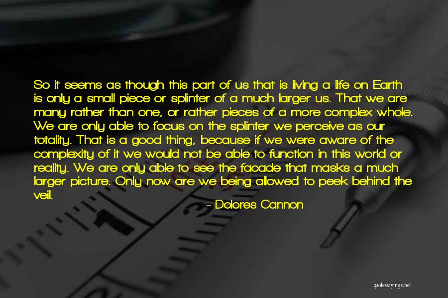World Being So Small Quotes By Dolores Cannon World Being So Small Quotes By Dolores Cannon