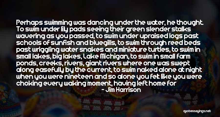 World Being So Small Quotes By Jim Harrison World Being So Small Quotes By Jim Harrison