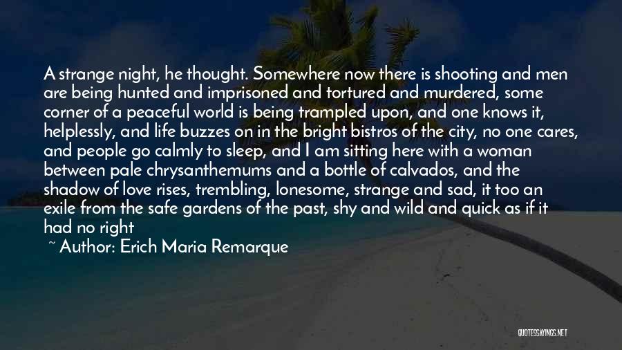 World Best Sad Love Quotes By Erich Maria Remarque