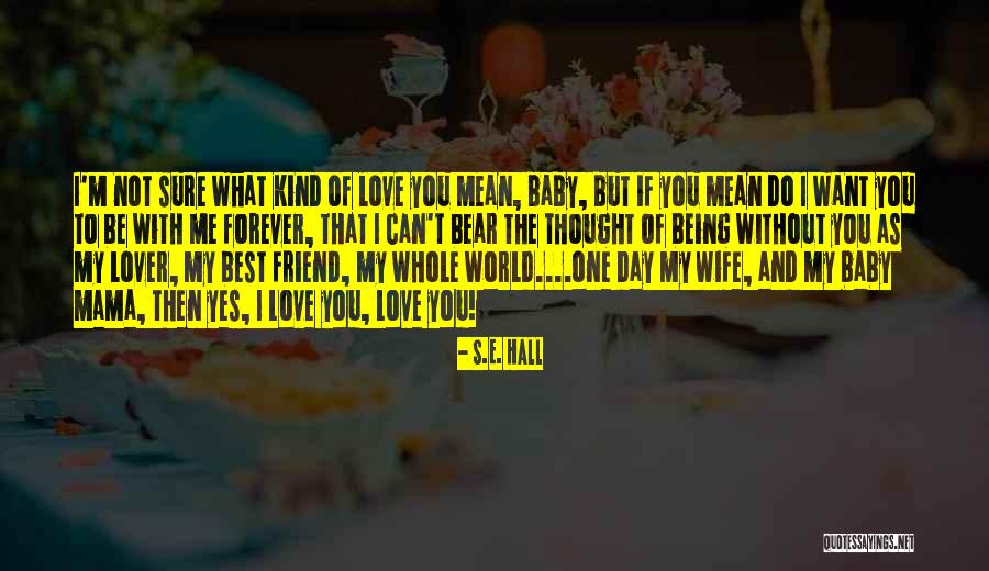 World Best Wife Quotes By S.E. Hall World Best Wife Quotes By S.E. Hall