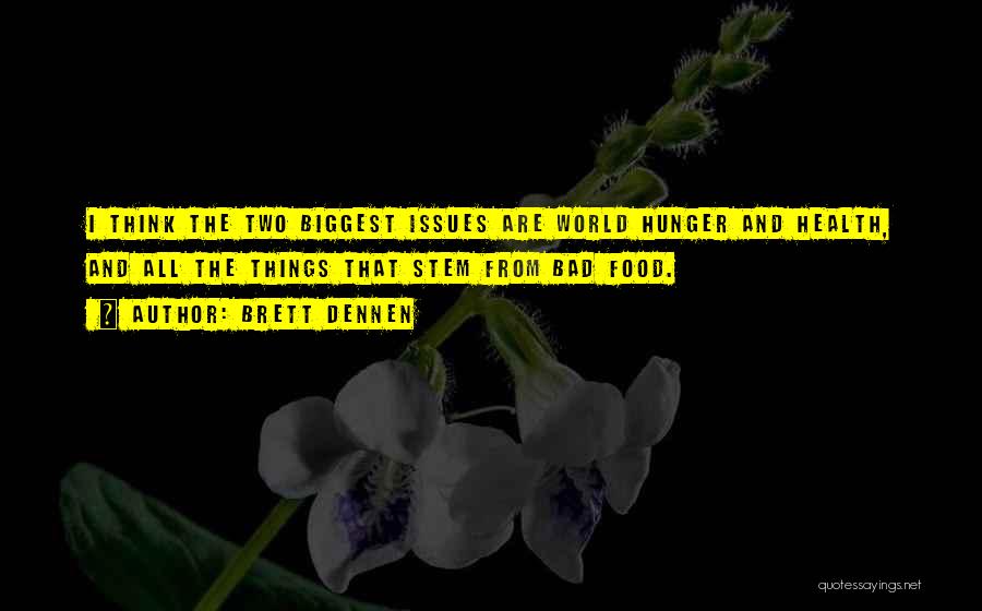 World Biggest Quotes By Brett Dennen