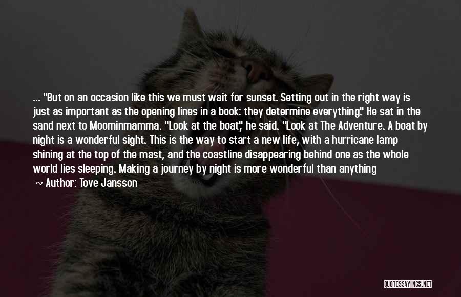 World Book Night Quotes By Tove Jansson