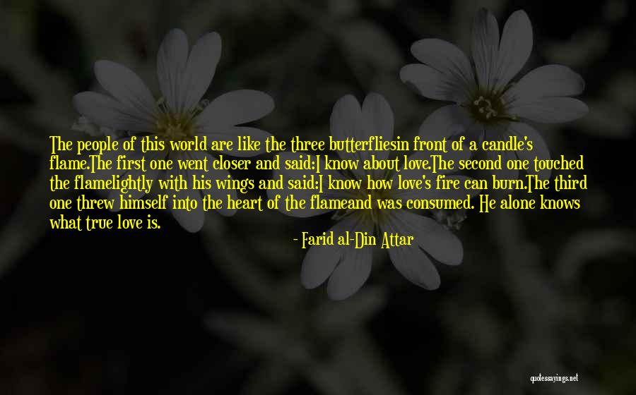 World Butterflies Quotes By Farid Al-Din Attar World Butterflies Quotes By Farid Al-Din Attar