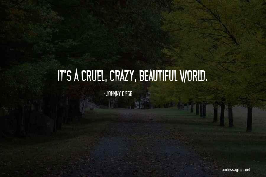 World Cruel Quotes By Johnny Clegg World Cruel Quotes By Johnny Clegg