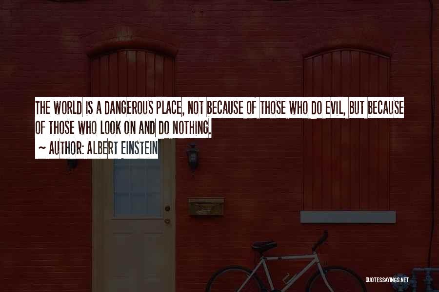 World Cruelty Quotes By Albert Einstein