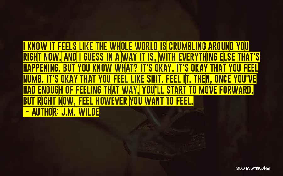 World Crumbling Around You Quotes By J.M. Wilde