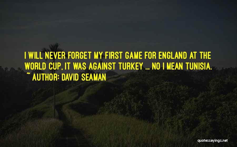 World Cup Quotes By David Seaman