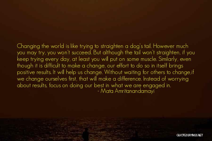 World Dog Day Quotes By Mata Amritanandamayi World Dog Day Quotes By Mata Amritanandamayi
