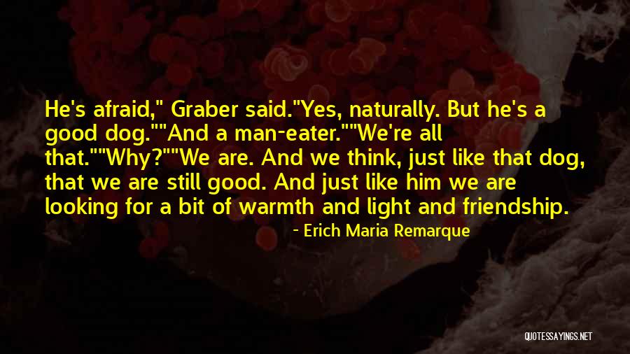 World Eater Quotes By Erich Maria Remarque World Eater Quotes By Erich Maria Remarque