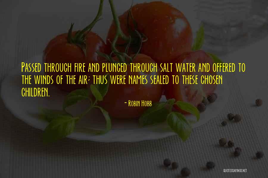 World Famous Wisdom Quotes By Robin Hobb World Famous Wisdom Quotes By Robin Hobb