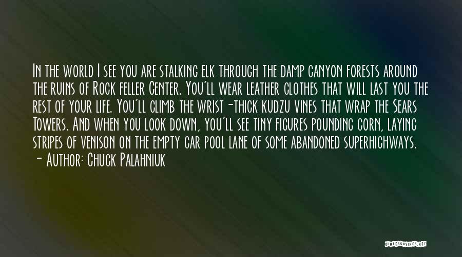 World Figures Quotes By Chuck Palahniuk