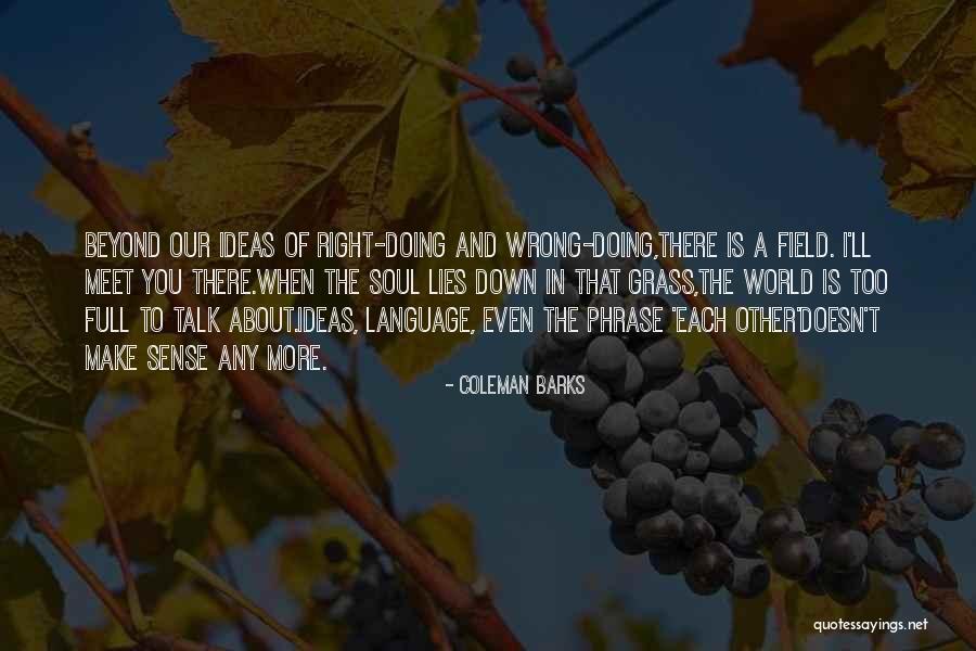 World Full Of Lies Quotes By Coleman Barks